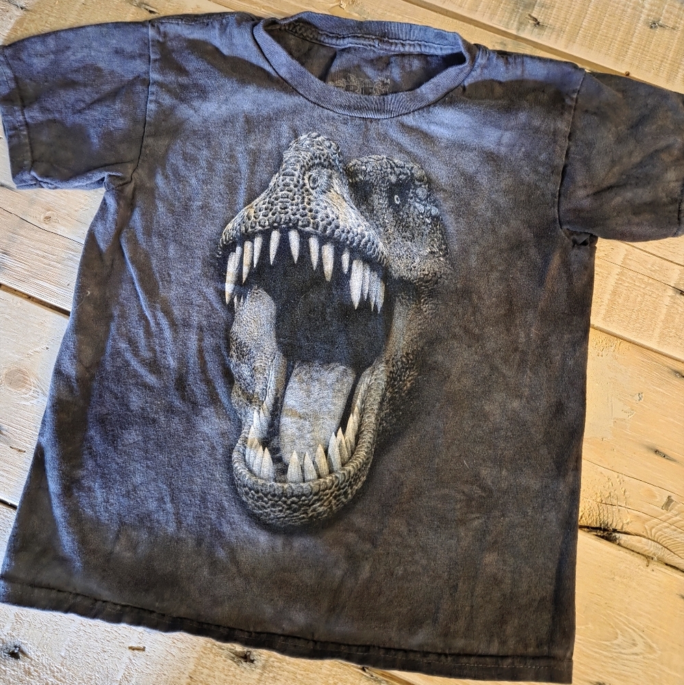 Kids Dinosaur Graphic T-Shirt - Black Youth Size Medium